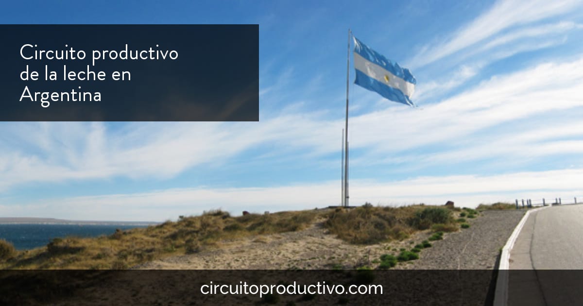 Circuito productivo de la leche en argentina